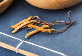 Cordyceps banner