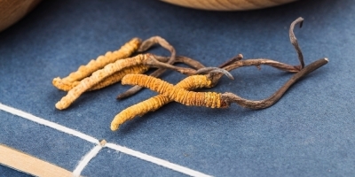 Bild från vårt test av bockhornsklöver 2026