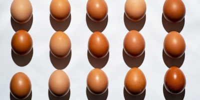 Bild från vårt test av bockhornsklöver 2026