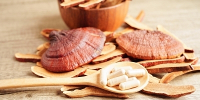 Bild från vårt test av bockhornsklöver 2026