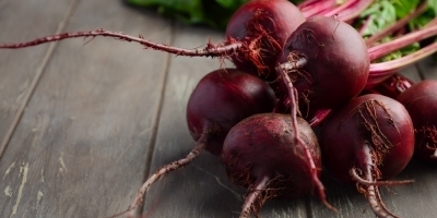 Bild från vårt test av bockhornsklöver 2026