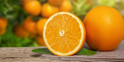 Bild från vårt test av bockhornsklöver 2026