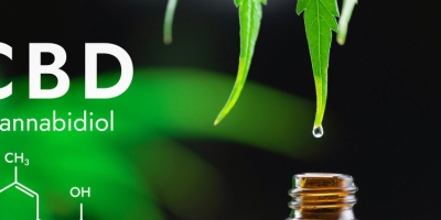 Bild från vårt test av bockhornsklöver 2026