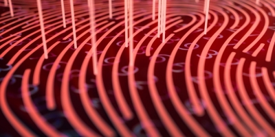 Bild från vårt test av bockhornsklöver 2026