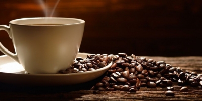 Bild från vårt test av bockhornsklöver 2026