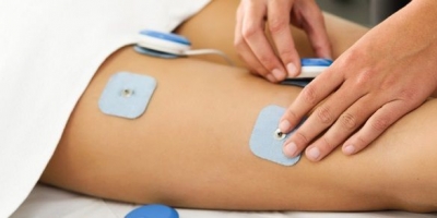 Bild från vårt test av bockhornsklöver 2026