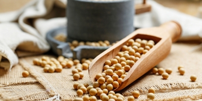 Bild från vårt test av bockhornsklöver 2026