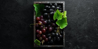 Bild från vårt test av bockhornsklöver 2026