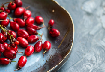 Berberine banner
