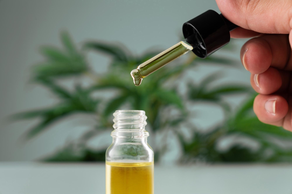 Legalized cannabis sativa hemp leaf and container of CBD oil with dropper lid