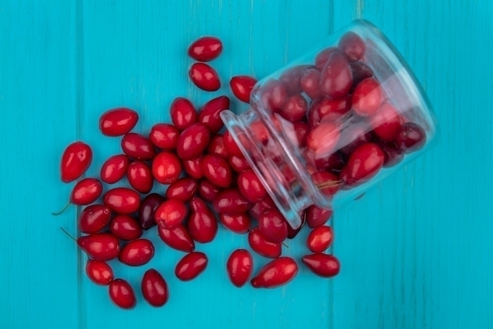Top view of cornel berries spilling out of jar on blue background