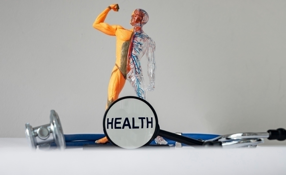 health text photo with healthy human body model