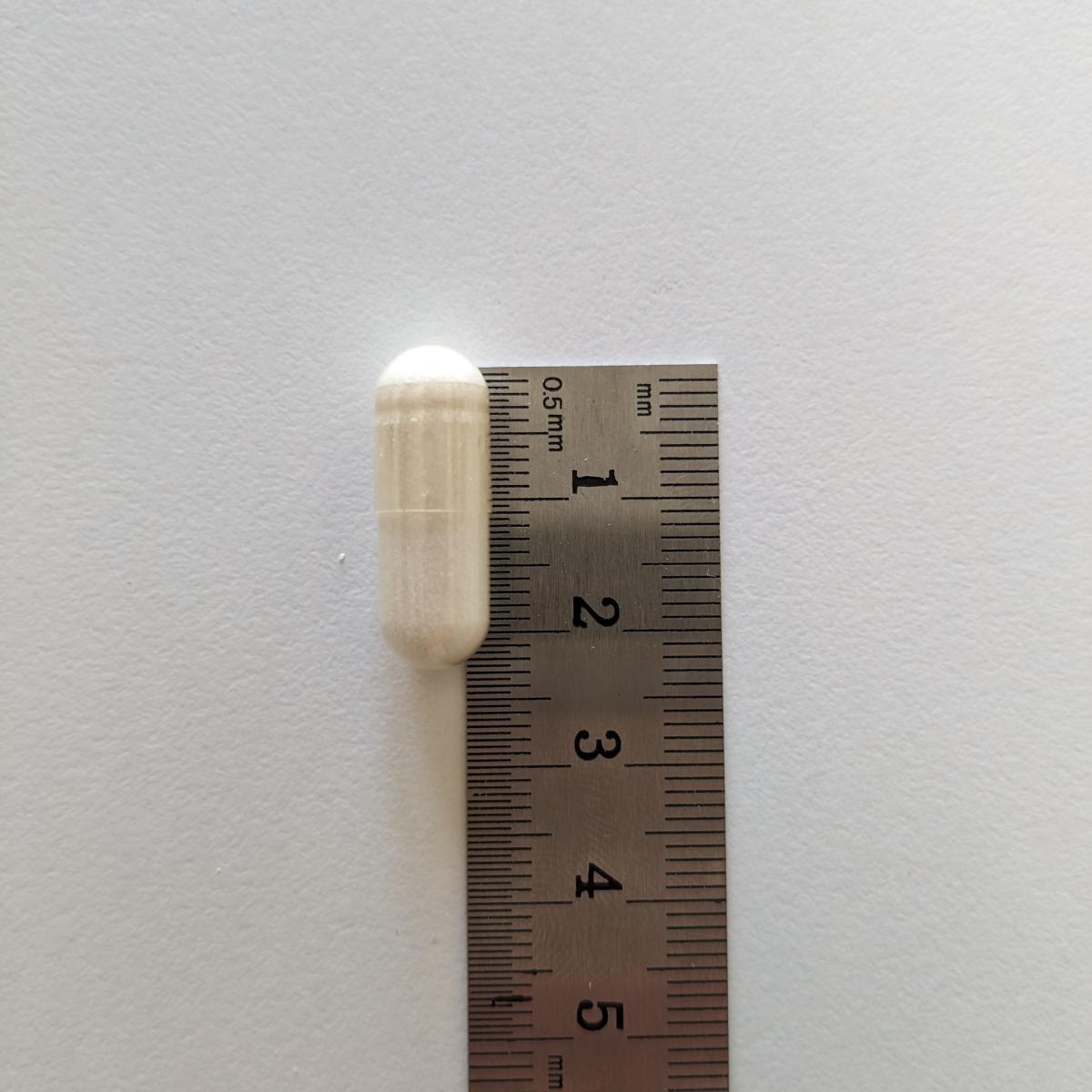 En GABA-kapsel bredvid linjal cirka två centimeter lång, dokumenterat i vårt test