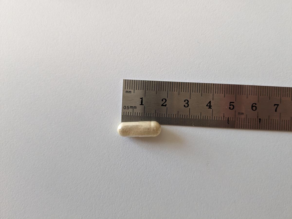 Närbild av Holistic LactoVitalis Pro-kapsel bredvid linjal som visar den kompakta, lättsvalda storleken