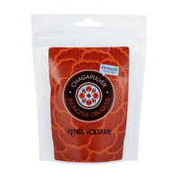 Renee Voltaire Chagapulver Inonotus Obliquuss EKO 100 g