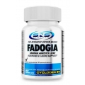 SNS Biotech Fadogia 90 kapslar