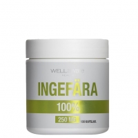 Ingefara 250mg Wellaware