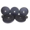 Hi-Temp Bumper plates