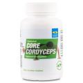 Core Cordyceps