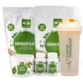 Healthwell Detoxkur