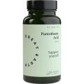 Great Earth Pantothenic Acid