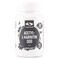 Healthwell Acetyl-L-karnitin