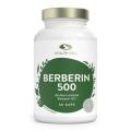 Healthwell Berberin 500