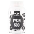 Healthwell Lysin 500