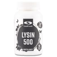Healthwell Lysin 500