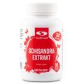 Healthwell Schisandra