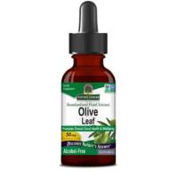 natures answer olive leaf