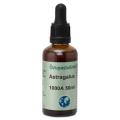 Örtspecialisten Astragalus 1000A