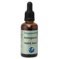 Örtspecialisten Astragalus 1000A