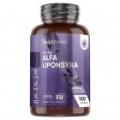 WeightWorld Alfa-liponsyra