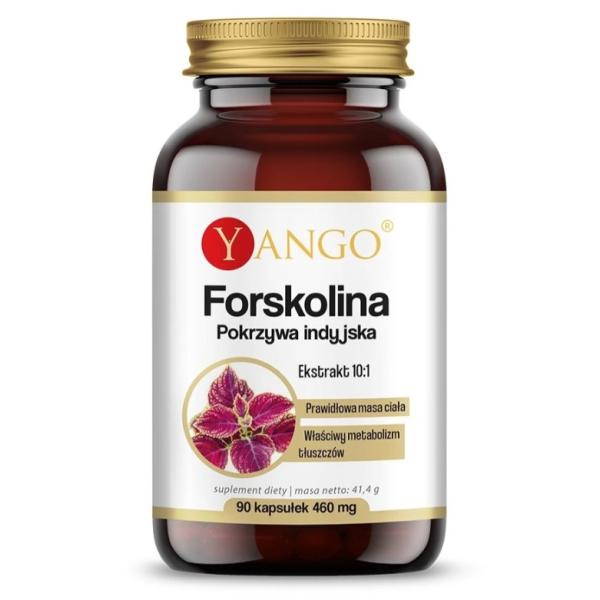 Yango Forskolin Coleus Forskohlii