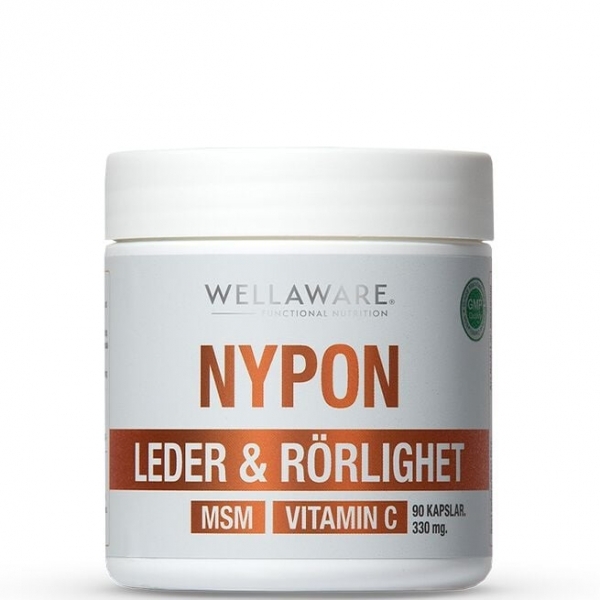 WellAware Nypon MSM Vitamin C