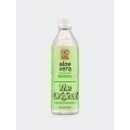 NOBE Aloe Vera