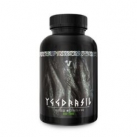 Viking Power Yggdrasil Komplett multivitamin